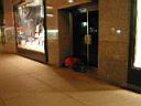 175 homeless.jpg